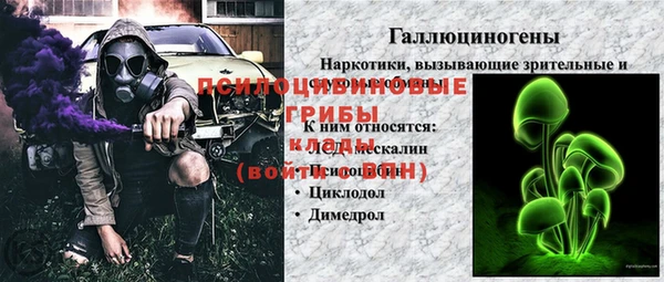 шишки Алексеевка