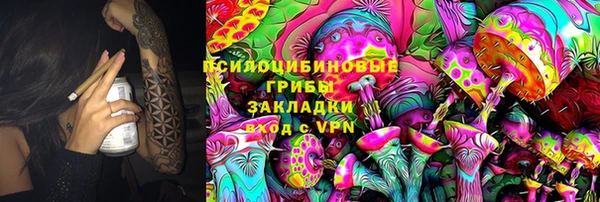 шишки Алексеевка
