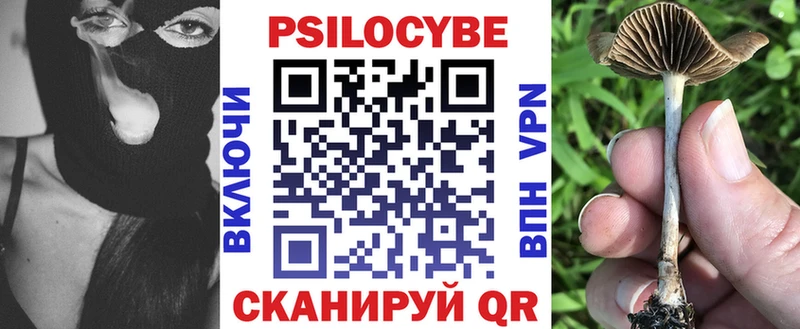 даркнет сайт  Качканар  Псилоцибиновые грибы Psilocybine cubensis 