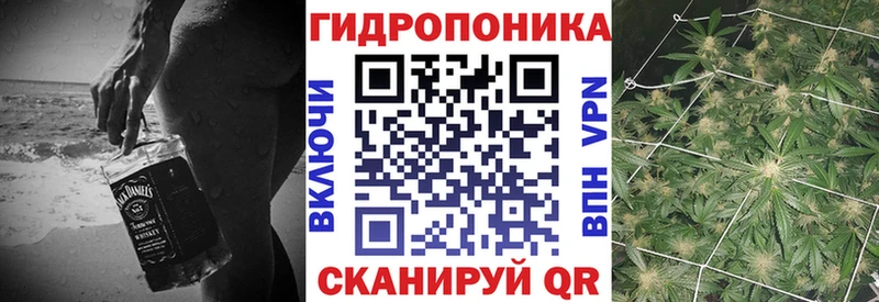 Бошки Шишки планчик  hydra онион  Качканар  хочу  